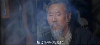 电影打野战床戏,激情床戏背后的青春岁月