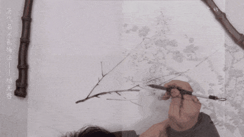 方严老师教学视频,解锁高效学习之道