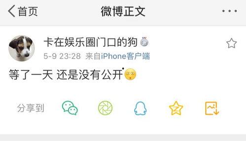 在线吃瓜爆料软件有哪些,一网打尽娱乐圈最新动态