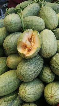 哈密瓜价格今日价安徽,市场行情一览”