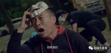 真假卧底在线观看,揭秘卧底风云，在线观看探秘警界传奇