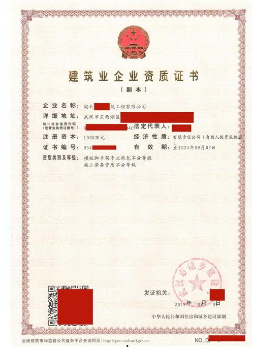 劳务资质证书图片,解读其背后的行业规范与认证标准