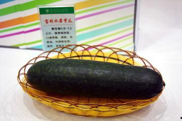 节瓜图片,田园风光中的绿色精灵