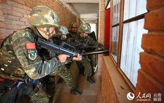 特勤中队在线观看,线上揭秘英勇无畏的消防英雄