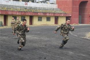 特勤中队在线观看,线上揭秘英勇无畏的消防英雄