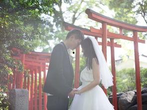 日本 蜜月,浪漫邂逅，梦幻启程