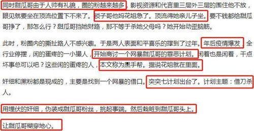 吃瓜娱乐圈营销号